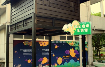 台灣第二大的蝙蝠屋